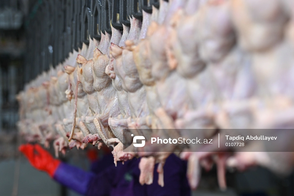 Куриное мясо становится популярнее говядины в Азербайджане - ПРИЧИНА