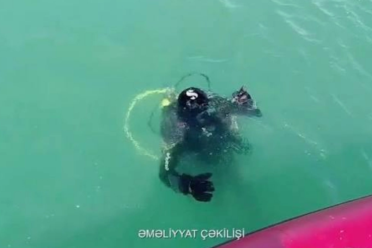 Ağcabədidə kanala yıxılan şəxs xilas edildi