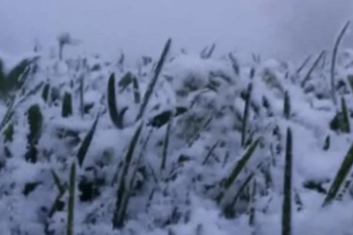 Snow has fallen in Azerbaijan