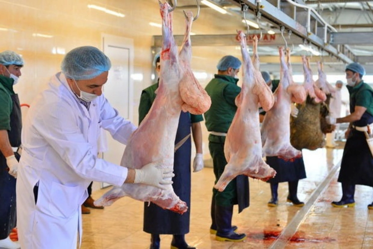 Ətin bişirilmə temperaturu virus və bakteriyaların məhv olmasını təmin edir - AQTA-dan AÇIQLAMA Ətin bişirilmə temperaturu virus və bakteriyaların məhv olmasını təmin edir - AQTA-dan AÇIQLAMA