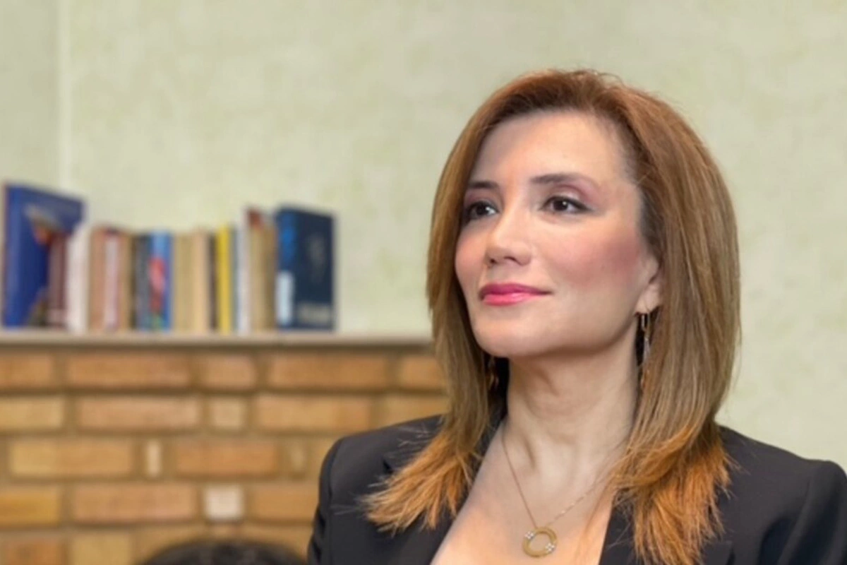 Gültəkin Hacıbəyli sərbəst buraxıldı