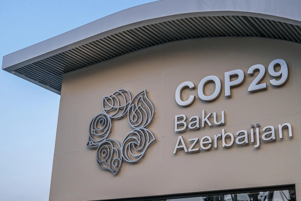 Азербайджанская операционная компания COP29 ликвидирована