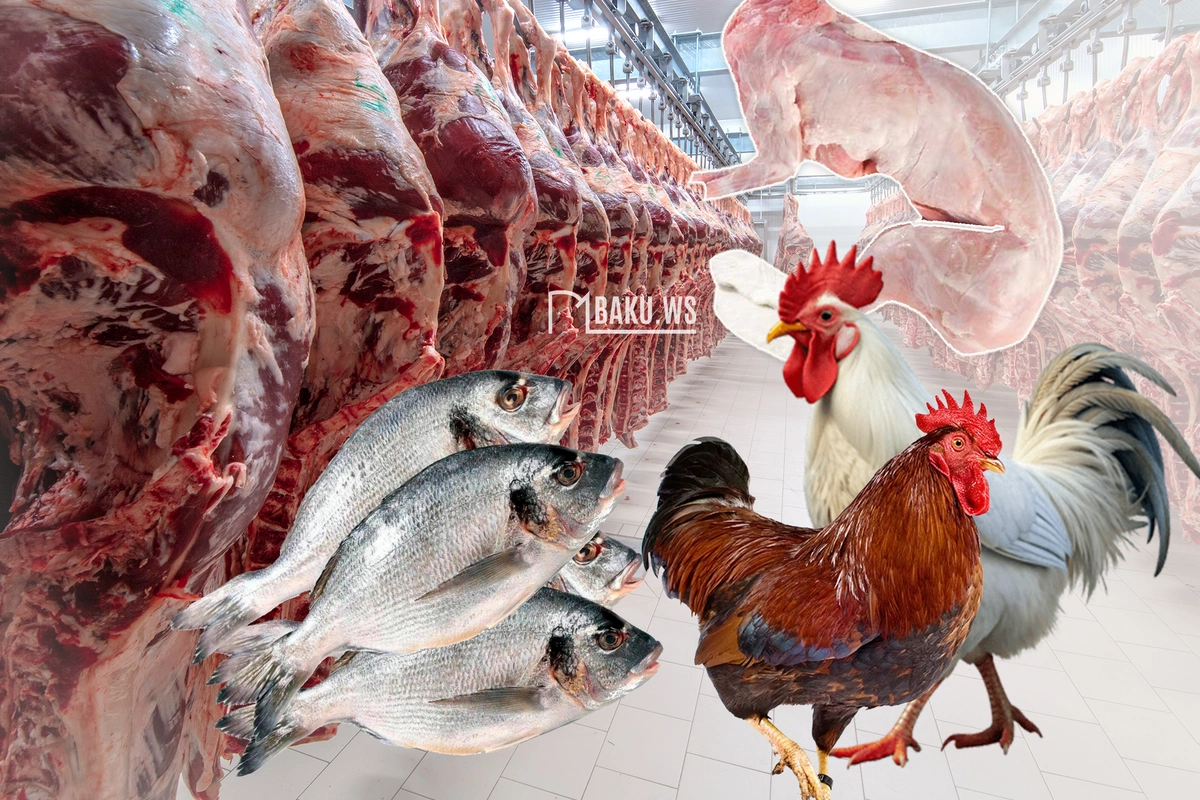 Hansı ət növü bədənə daha XEYİRLİDİR? - Dovşan, xoruz, balıq, camış....