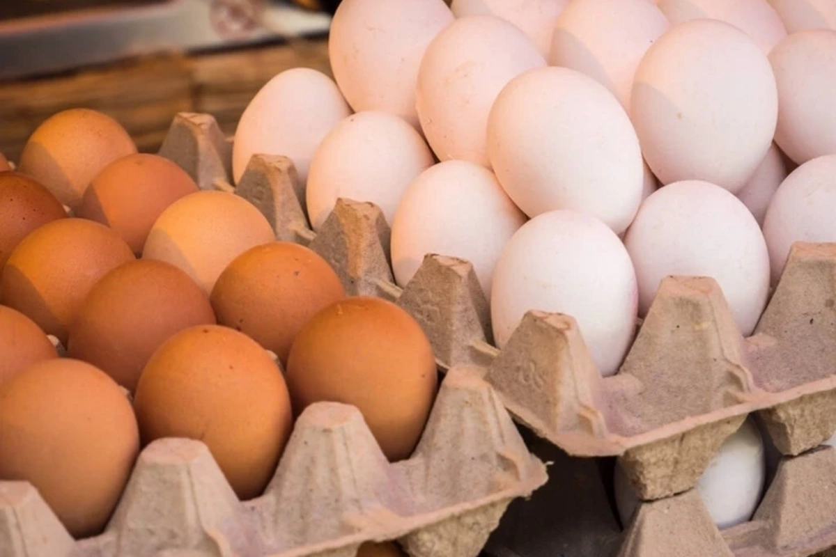 Стоит ли ждать удешевления куриных яиц в Азербайджане?
