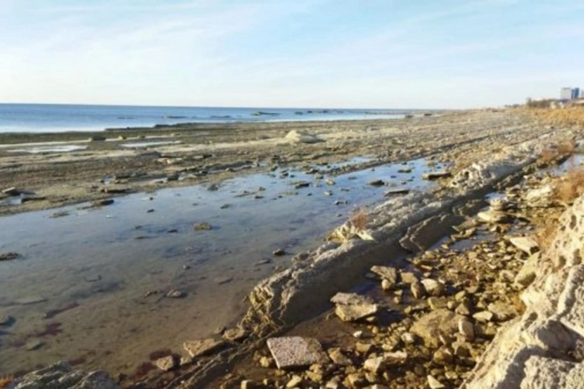 Xəzər dənizinin sahəsi 36 000 kvadrat kilometrdən çox azalıb