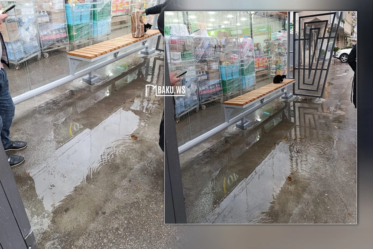 Dayanacaqdan ŞİKAYƏT - Yağışdan qorunmaq əvəzinə...