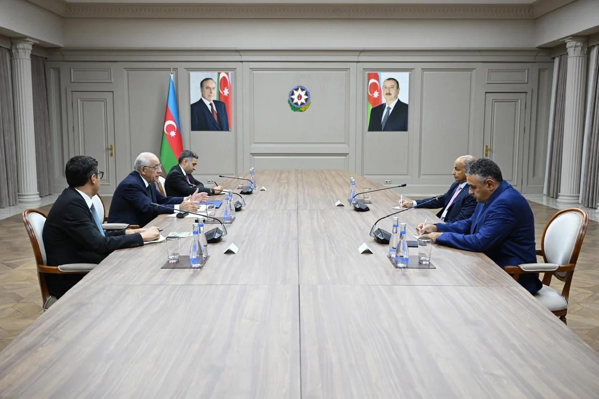 Əli Əsədov Beynəlxalq Üzgüçülük Federasiyasının prezidenti ilə görüşüb