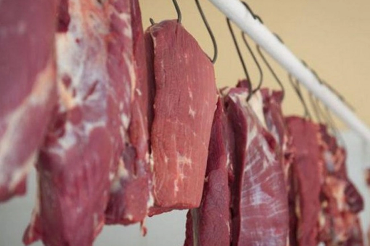 DİN və AQTA birgə tədbir keçirib, 1 tondan artıq yararsız at əti aşkar olunub