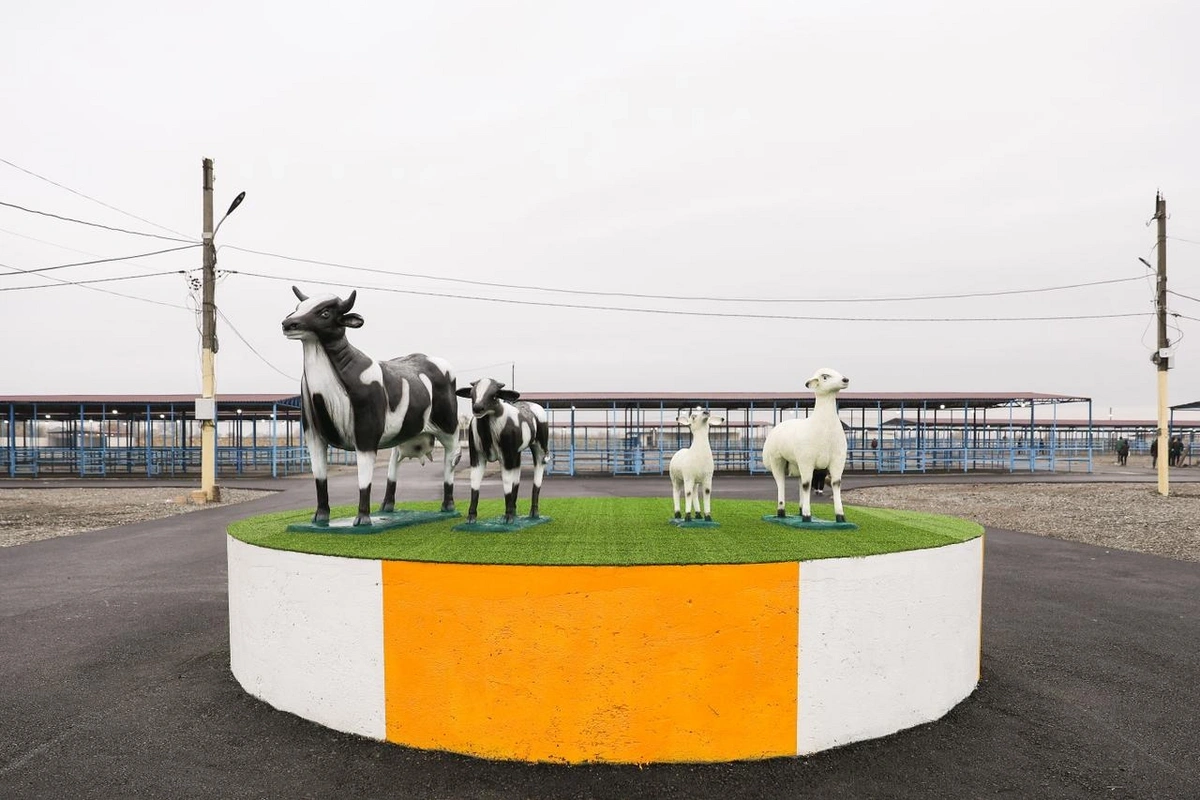 AQTA: Bərdə heyvan bazarı yaxın günlərdə fəaliyyətə başlayacaq