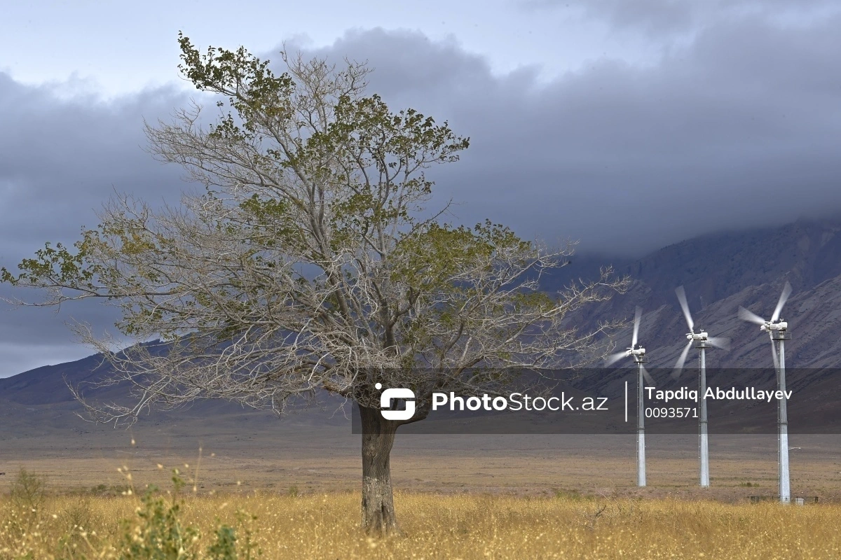 Синоптики предупредили в связи с непогодой