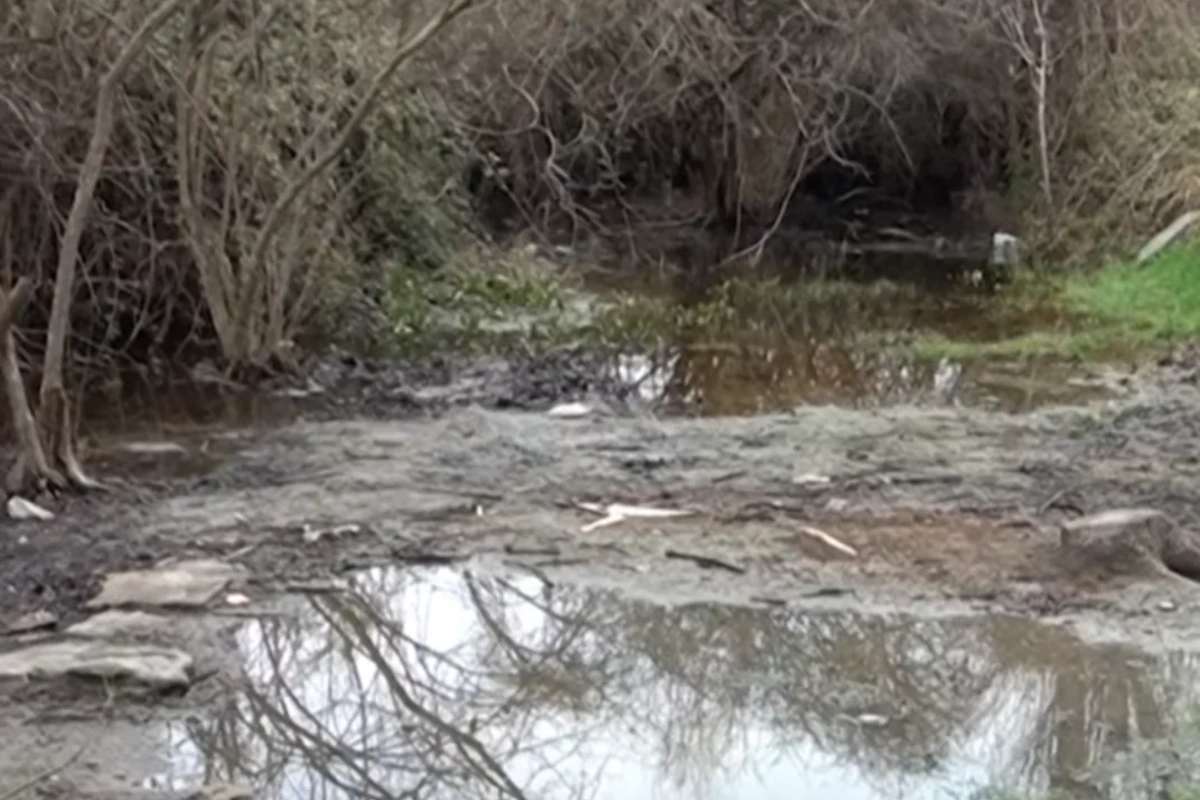 Ucarın mərkəzində Oğuz gölü - Kanalizasiya suları həyətlərə dolur: Şikayətimizə baxan yoxdur