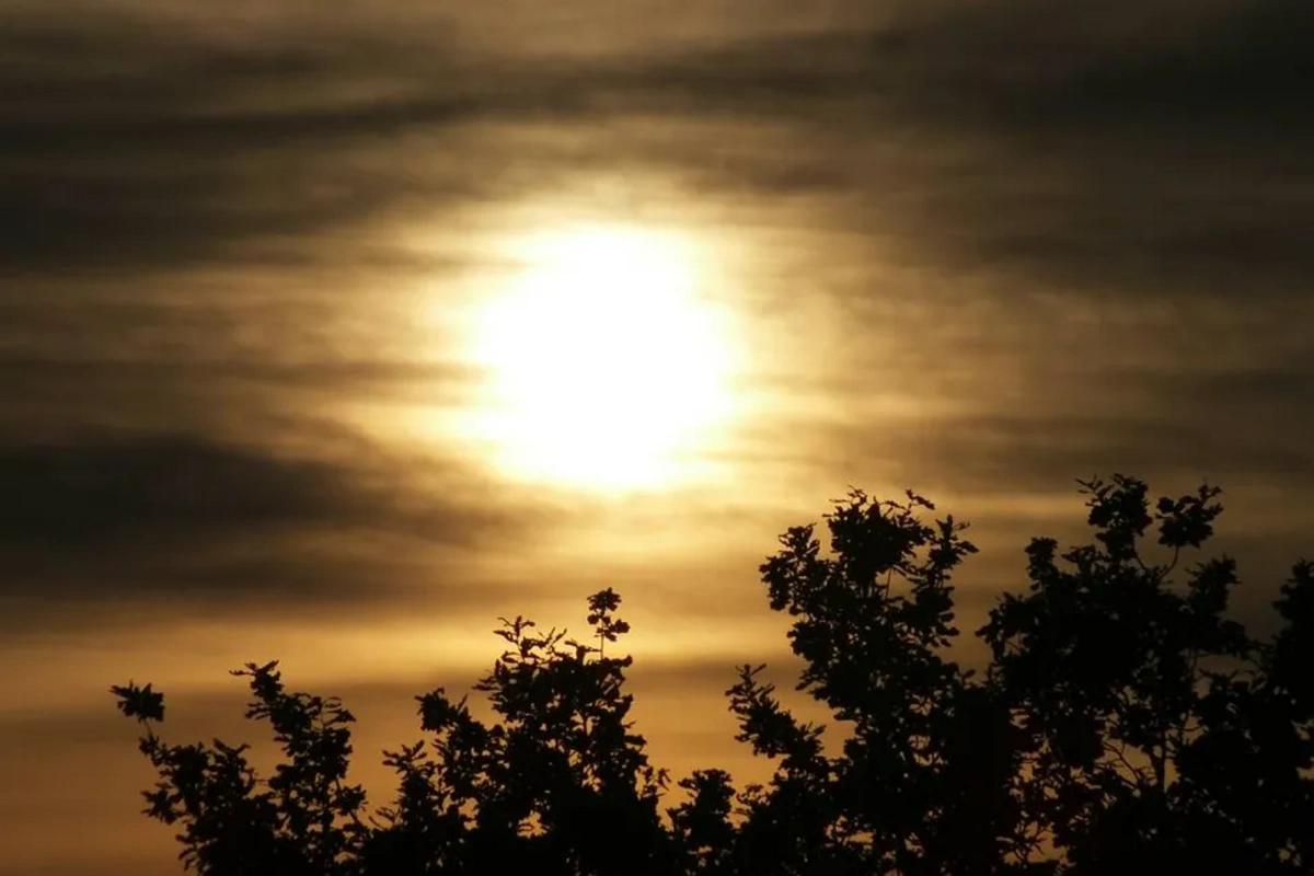 Ученые решили провести пугающую манипуляцию с Солнцем