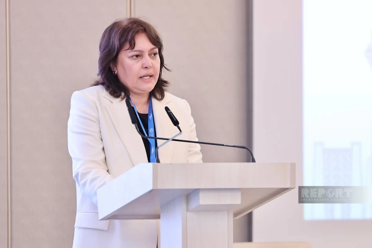 Umayra Tağıyeva: Azərbaycan iqlim riskləri ilə üzləşir