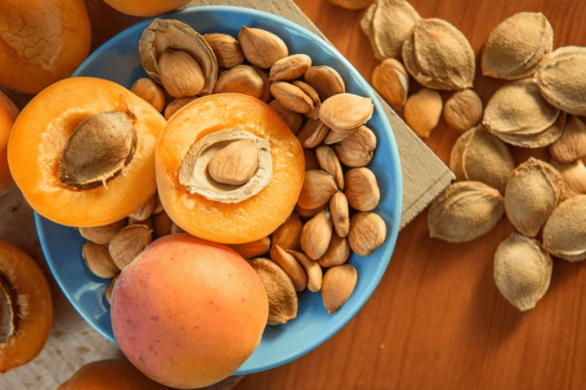 Apricot pits can be poisonous - don't eat them until you read this Apricot pits can be poisonous - don't eat them until you read this