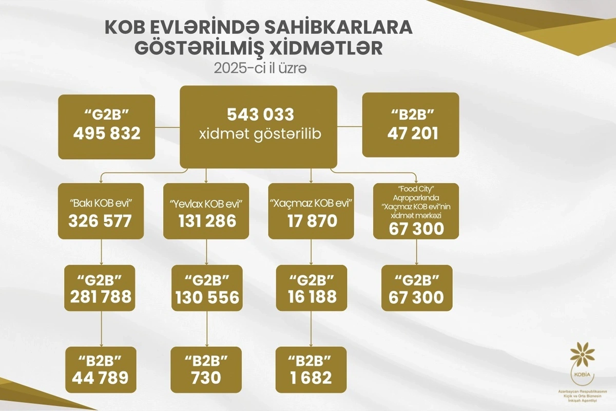 Ötən il KOB evlərində sahibkarlara 543 mindən çox xidmət göstərilib