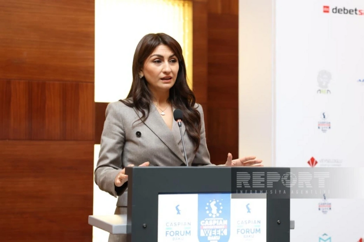 Samirə Musayeva: Azərbaycan Aİ-yə ixrac edəcəyi məhsullara görə karbon vergisi ödəyəcək Samirə Musayeva: Azərbaycan Aİ-yə ixrac edəcəyi məhsullara görə karbon vergisi ödəyəcək