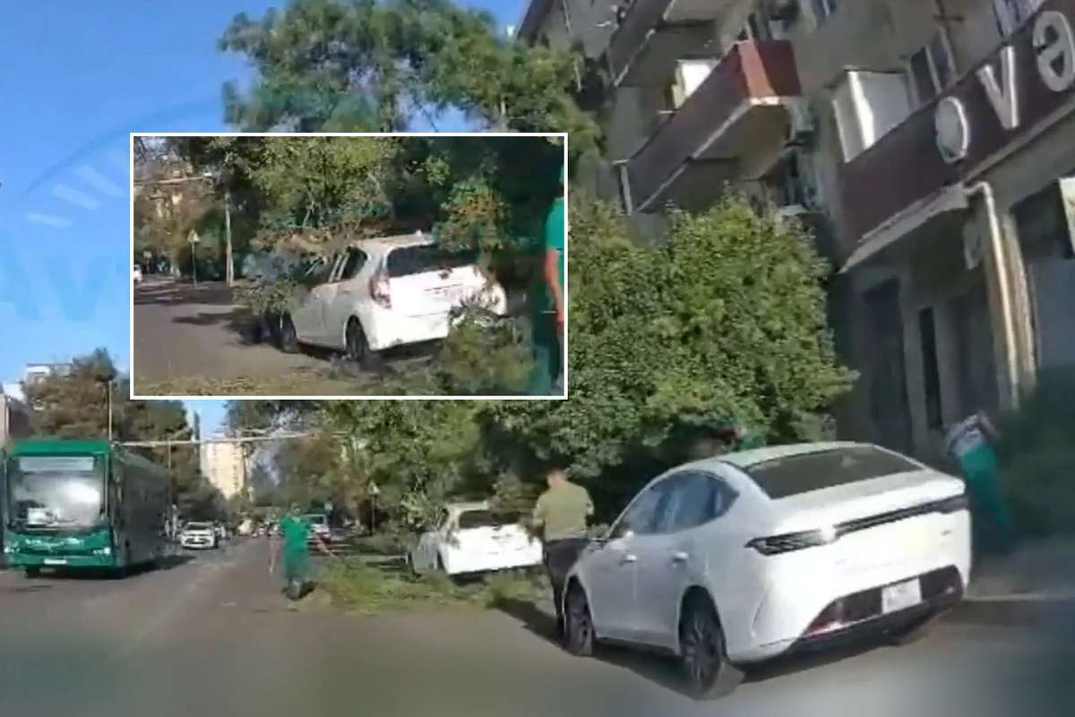 Bakıda nəhəng ağacın budaqları maşının üzərinə düşdü