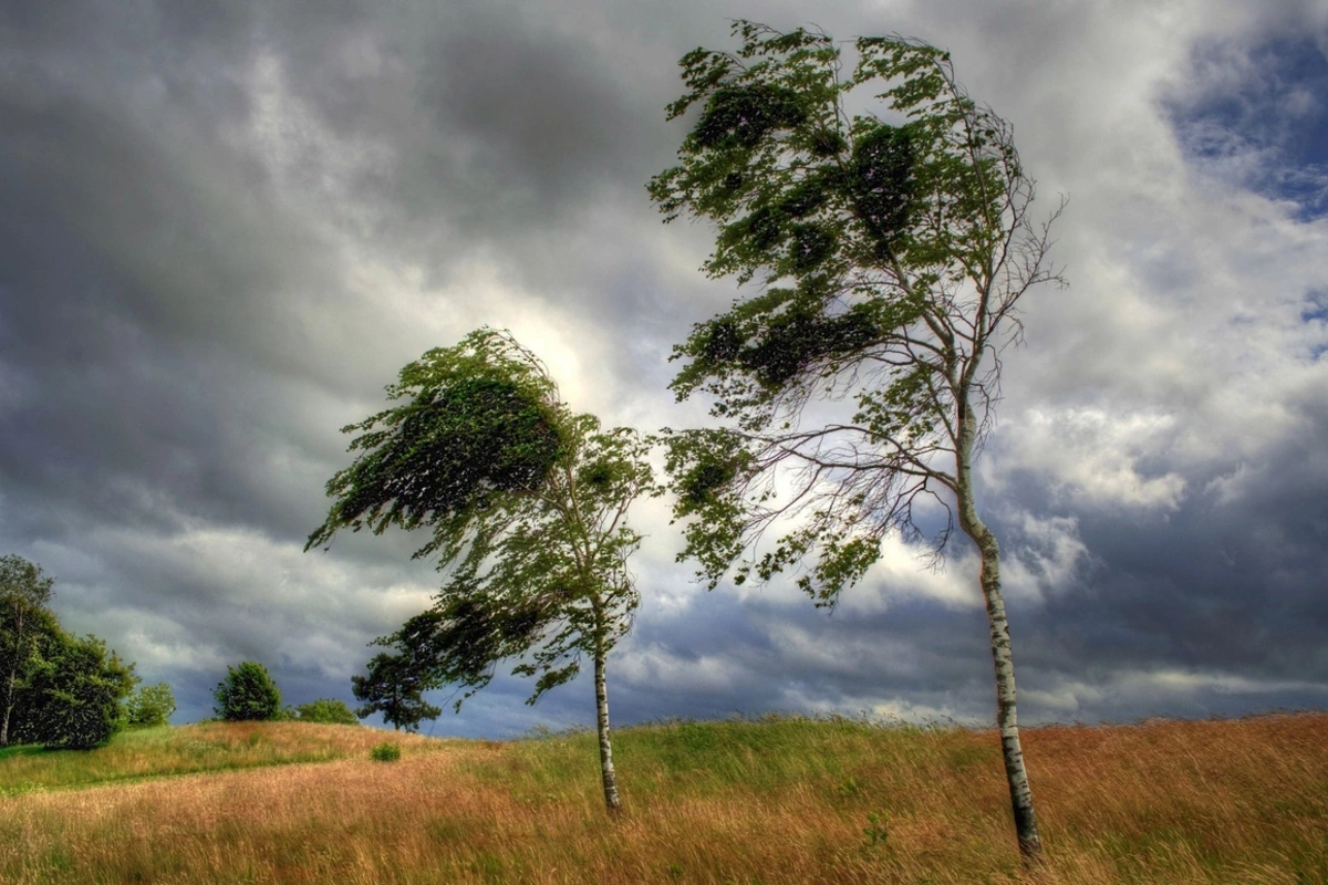 Bəzi ərazilərdə küləkli və yağıntılı hava müşahidə olunub – FAKTİKİ HAVA
