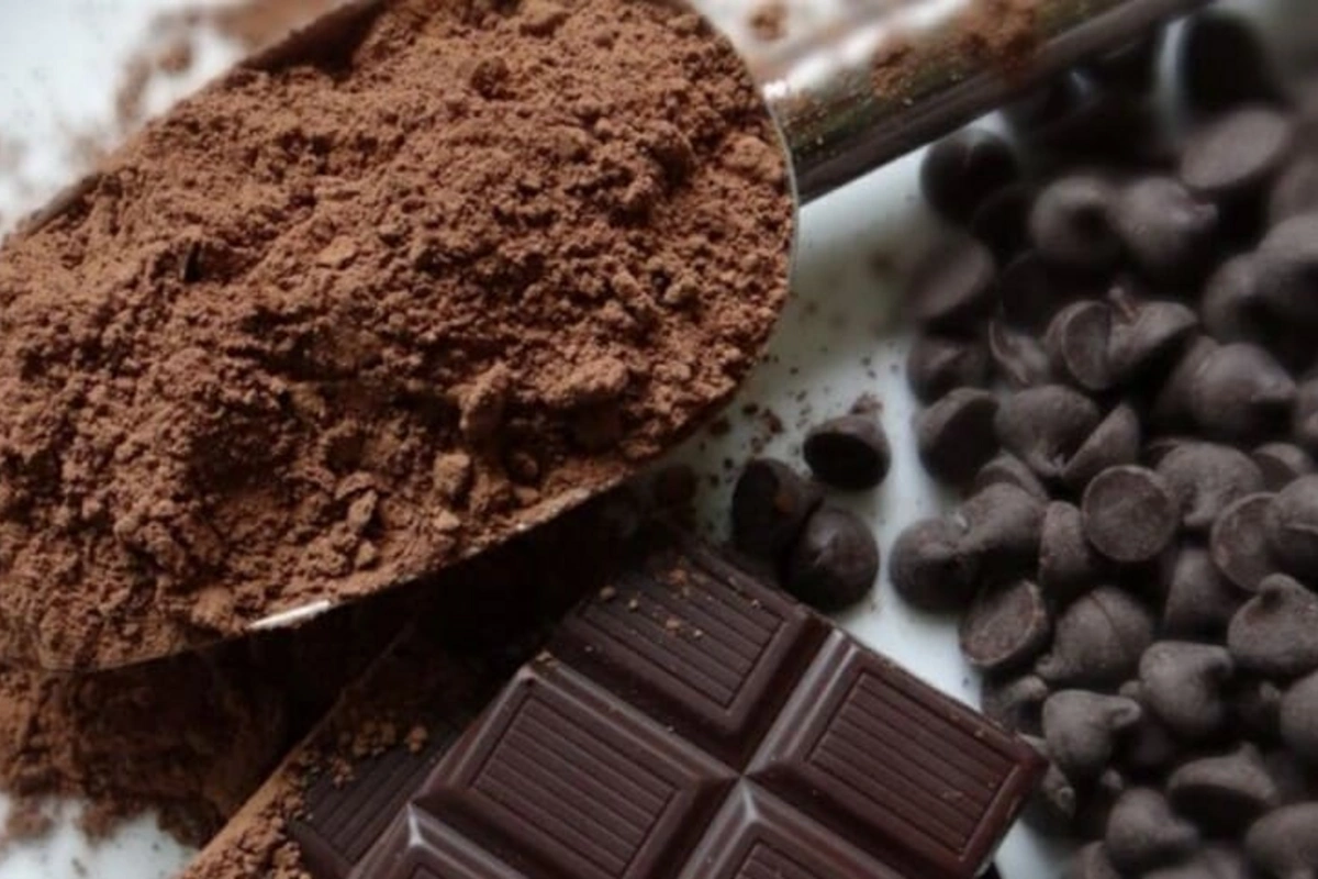 What bitter chocolate actually hides: you will be surprised What bitter chocolate actually hides: you will be surprised