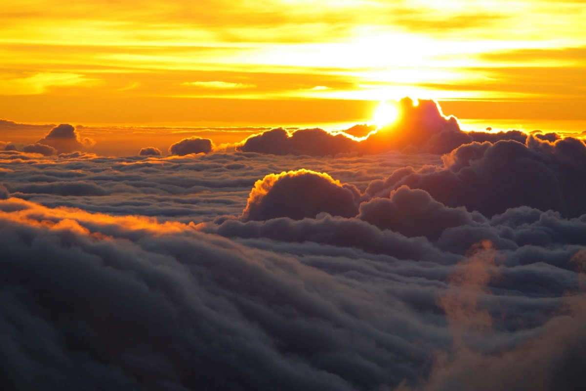 Названы два знака зодиака с самой короткой жизнью