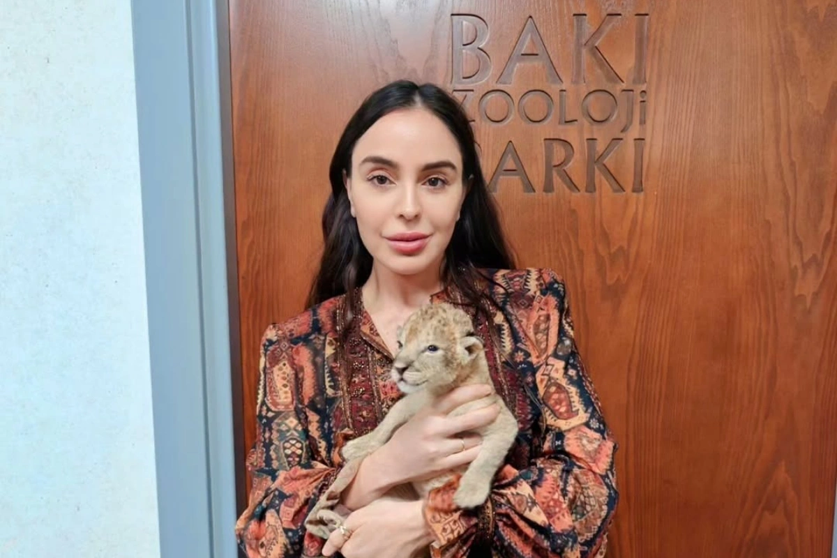 Leyla Əliyeva zooparkda yeni dünyaya gələn şir balası ilə görüntülərini paylaşdı