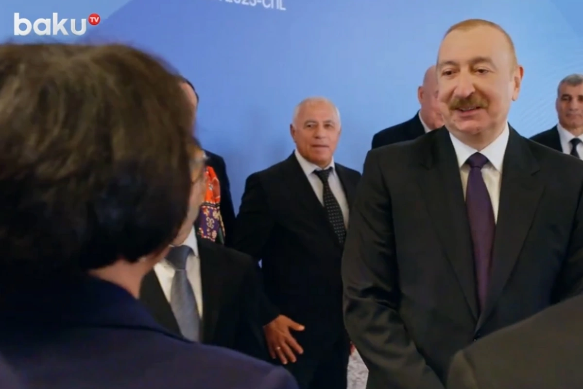 Azərbaycan Prezidenti olimpiya çempionu Zemfira Meftahətdinova ilə görüşdü