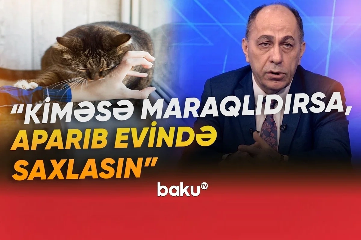 Dörd yaşlı uşağın quduzluğa yoluxması həyəcan yaratdı: Həkimdən ciddi XƏBƏRDARLIQ