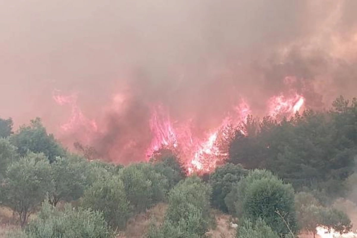 Türkiyədə ötən ay başlayan meşə yanğını davam edir Türkiyədə ötən ay başlayan meşə yanğını davam edir