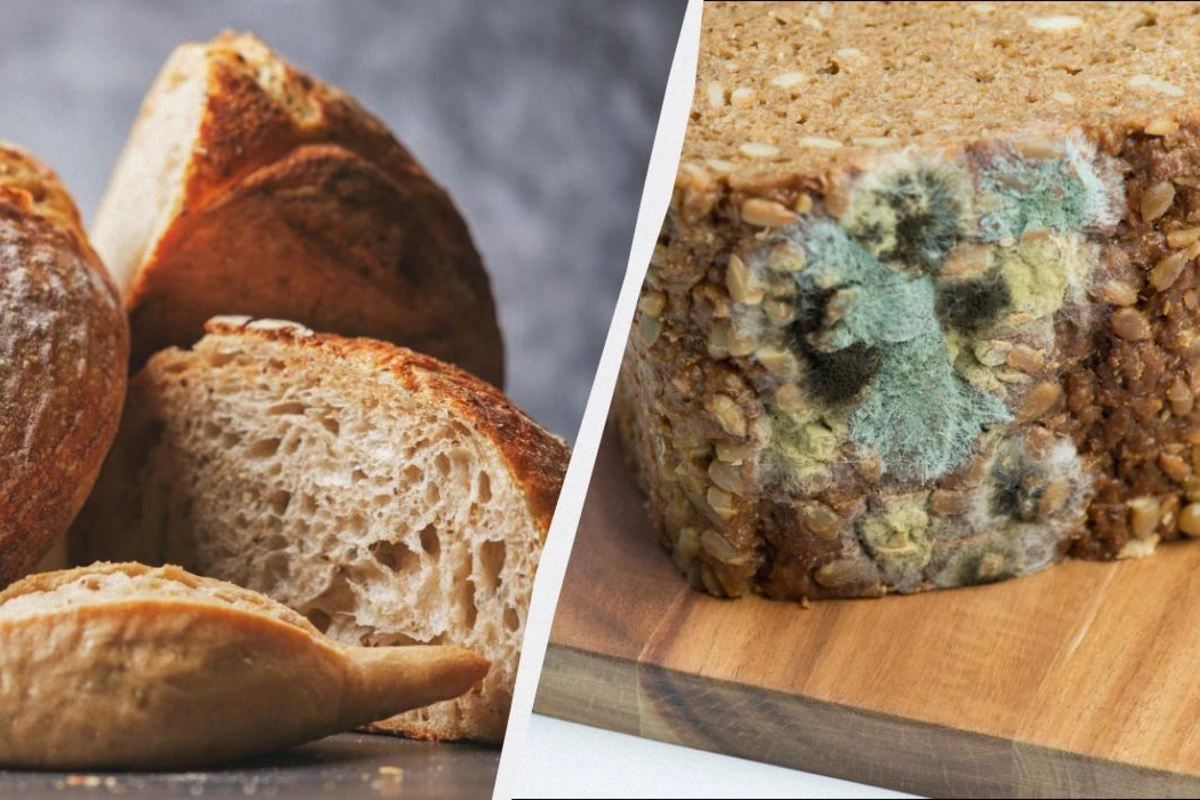 Почему хлеб плесневеет и можно ли срезать плесень и съесть остальное: советы врача
