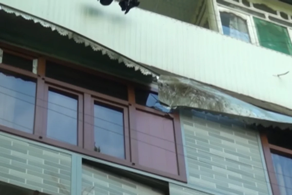 Mingəçevirdə güclü külək fəsad yaratdı - Aşan ağaclar mənzillərə ziyan vurdu