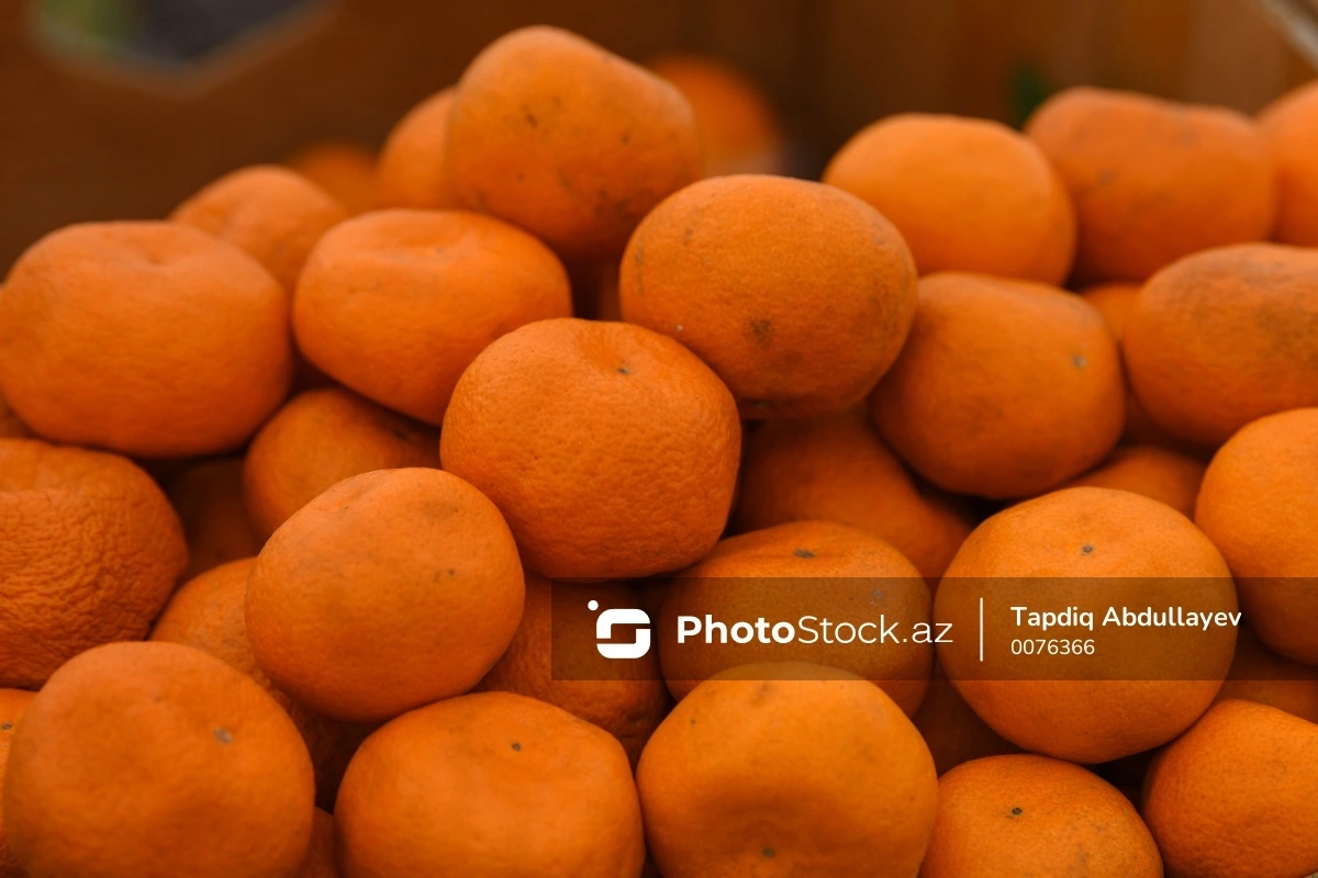 Ситуация в цитрусовых садах Астары ухудшается: фермеры терпят убытки