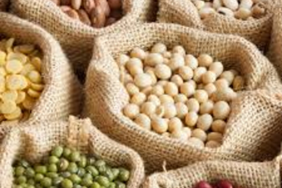 # A Product Has Been Named That Helps Centenarians Preserve Their Memory