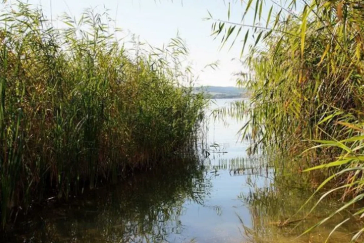 Qobustanda 9 yaşlı uşaq gölməçəyə düşərək ölüb