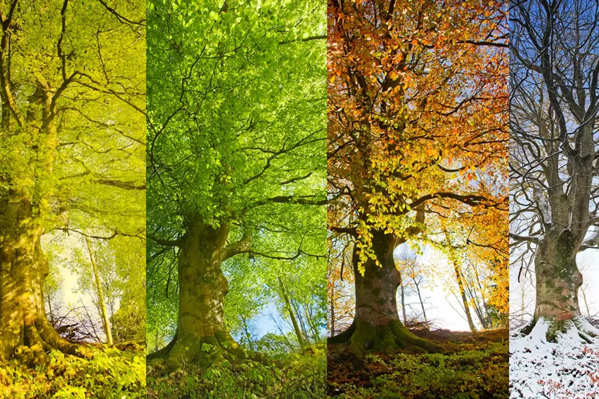 Gələn il fəsillər Azərbaycana bu vaxtlarda daxil olacaq