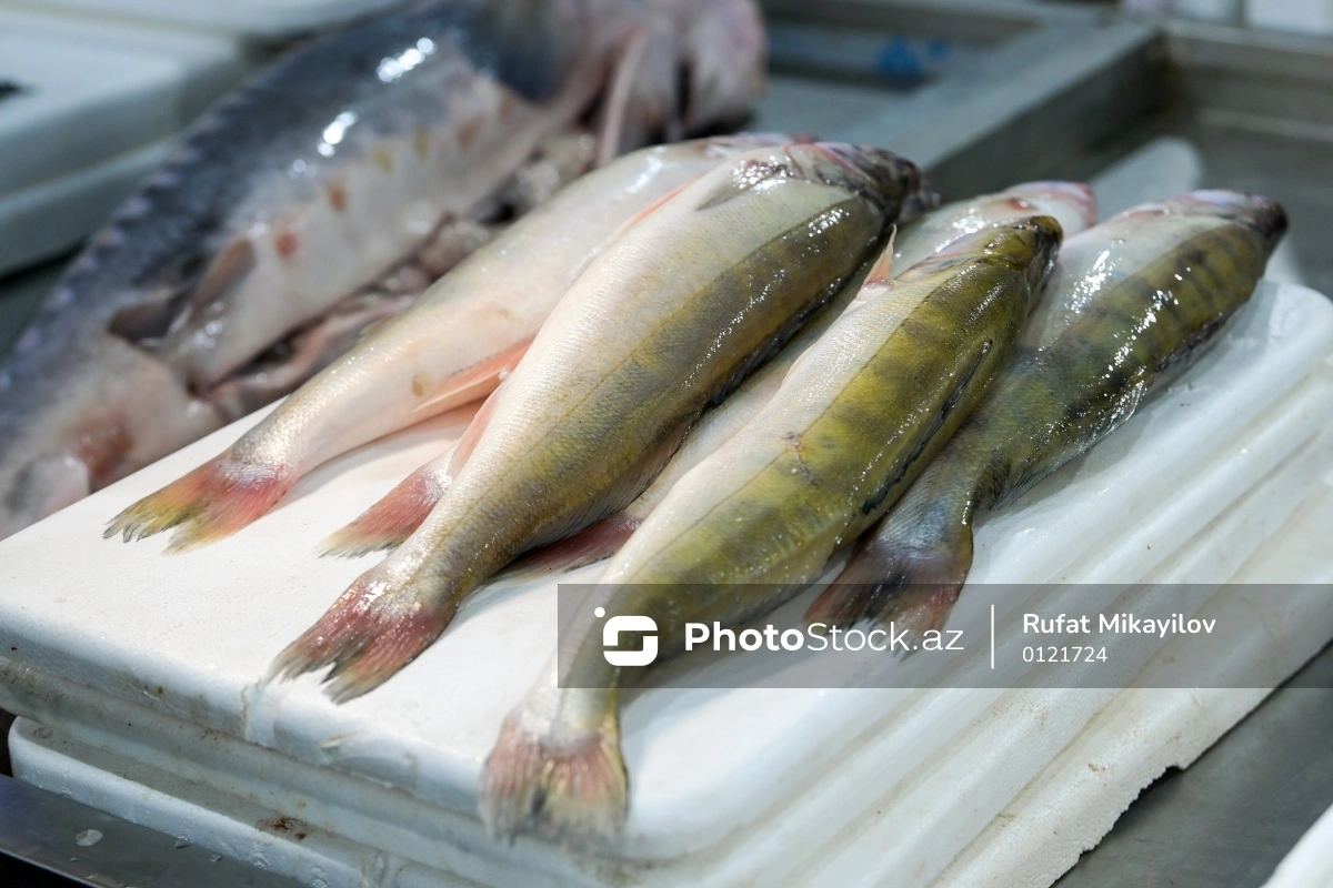 Ажиотаж на рыбном базаре: какие самые востребованные сорта рыбы?