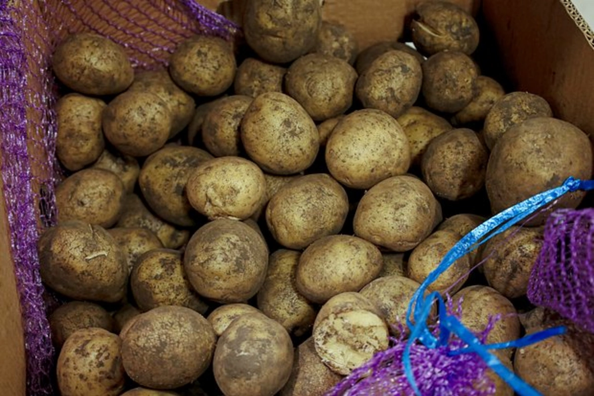 В европейском городе наступил картофельный потоп