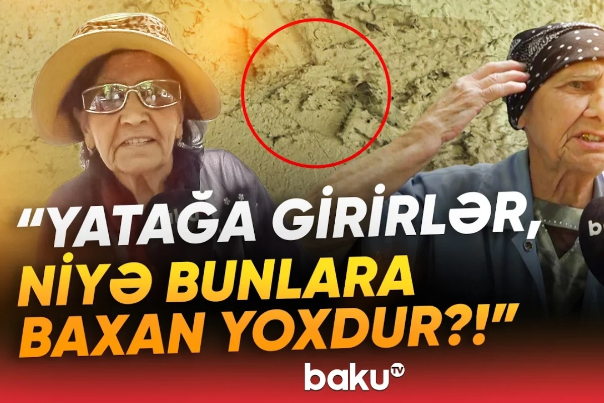 Şəhərdə peyda olanlar sakinləri bezdirdilər