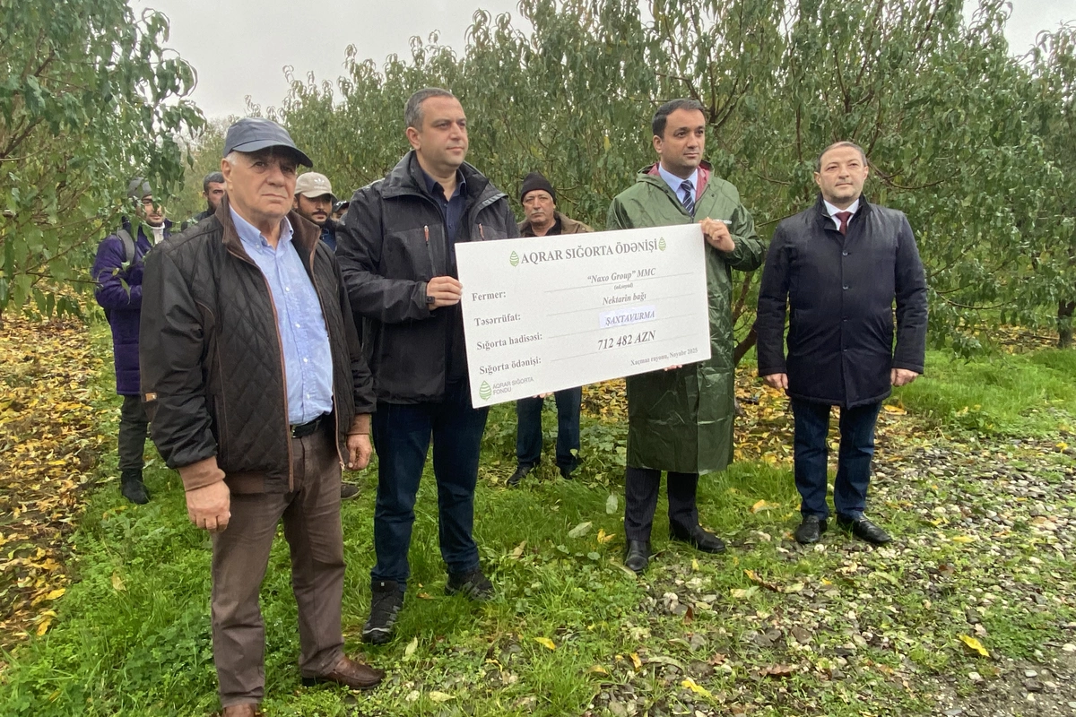 Azərbaycanda meyvə bağını şaxta vurması üzrə 712 min manat sığorta ödənişi edilib