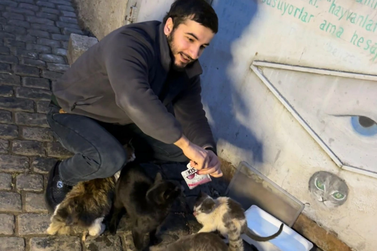 Bloqqer Elmir Niyazzadə küçə heyvanlarının qorunması ilə bağlı sosial şəbəkələrdə çağırış edib