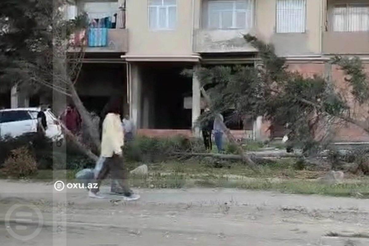 Bakı-Sumqayıt şosesində qəza: Hyundai bir neçə ağaca çırpılıb, onları aşırıb