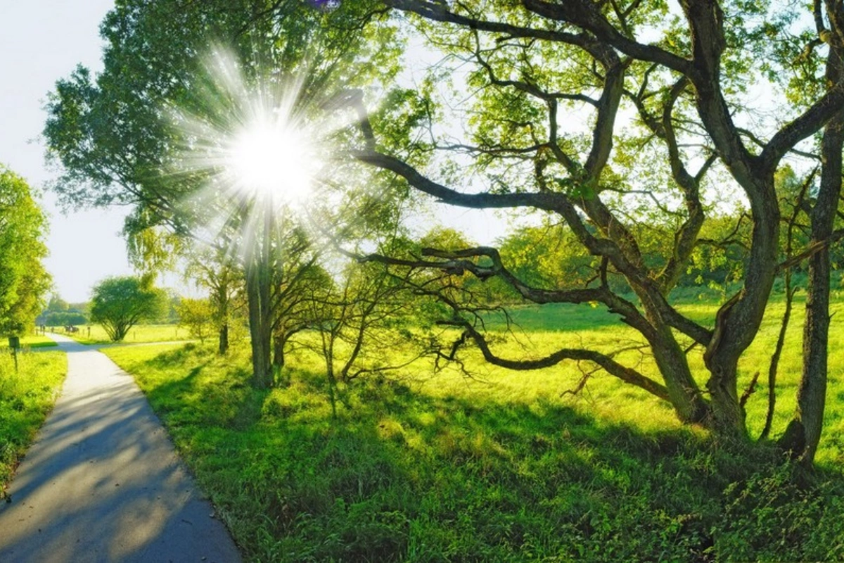 Sabaha olan hava proqnozu açıqlandı Sabaha olan hava proqnozu açıqlandı