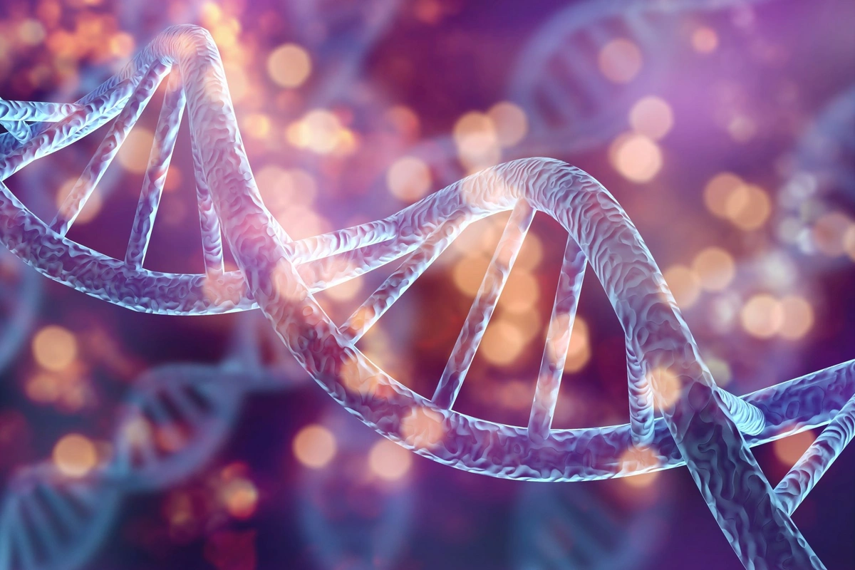 Scientists discovered 6 living relatives of the genius of all time through DNA Scientists discovered 6 living relatives of the genius of all time through DNA