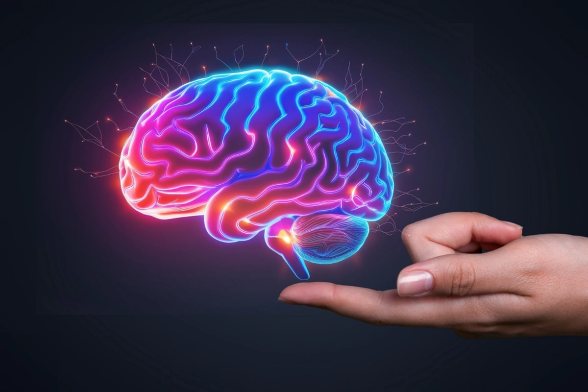 Ученым впервые в истории удалось воскресить замороженный мозг