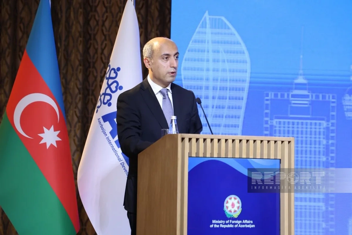 Emin Əmrullayev beynəlxalq əməkdaşlıqda təhsilin rolundan danışıb