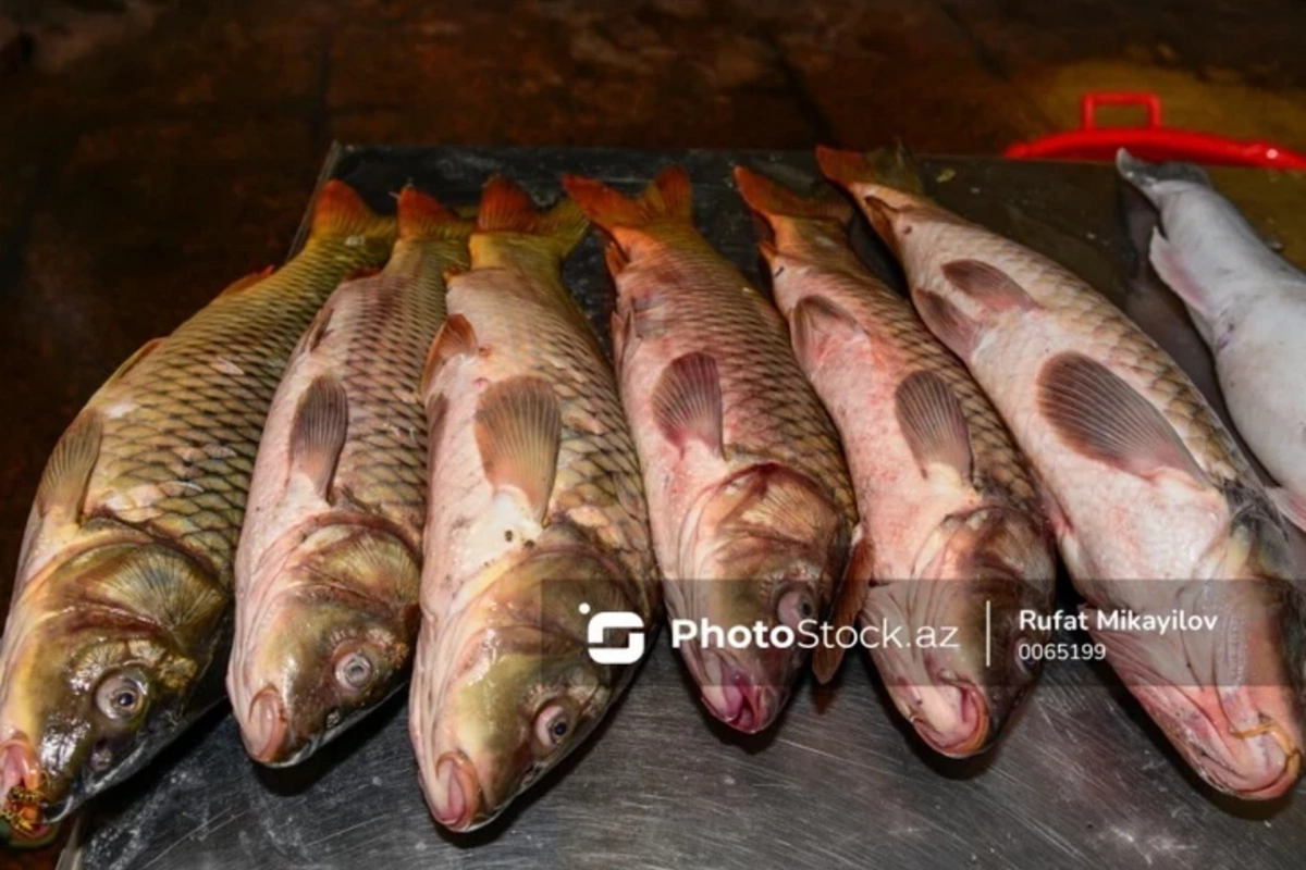 Обмеление Каспия привело к серьезному последствию