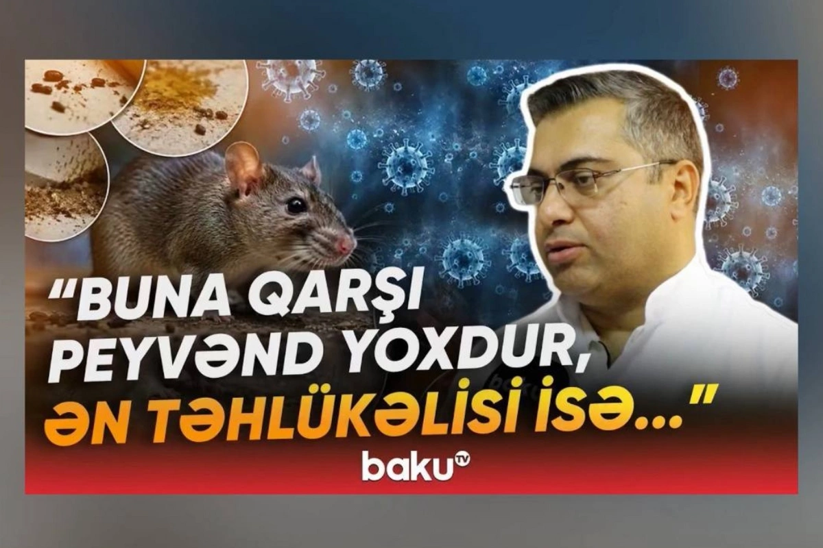 Yeni yayılan virusla bağlı xəbərdarlıq: Xəstələr çox vaxt bu cür şoka düşür - Baku TV