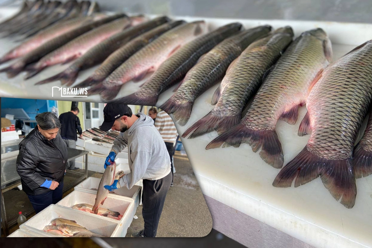 Ət əvəzinə hamı balıq alır - Bazarda SON QİYMƏTLƏR