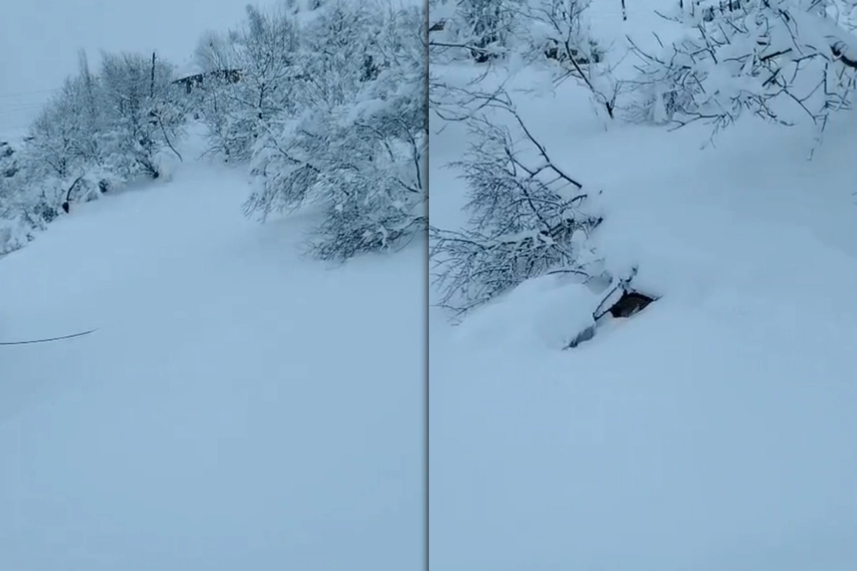 Yardımlıda qar çətinliklər yaratdı - İşıq, yol və internet yoxdur