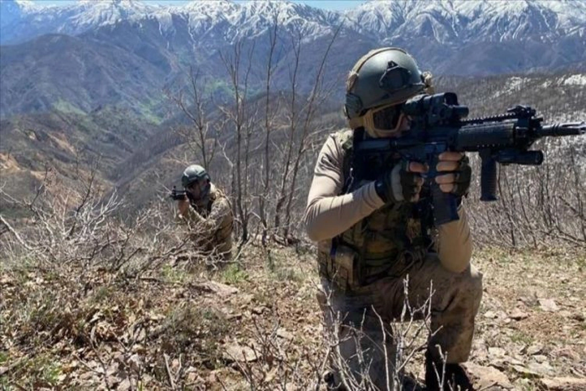 Türkiyə ordusu İraqın şimalında 5 PKK terrorçusunu öldürüb