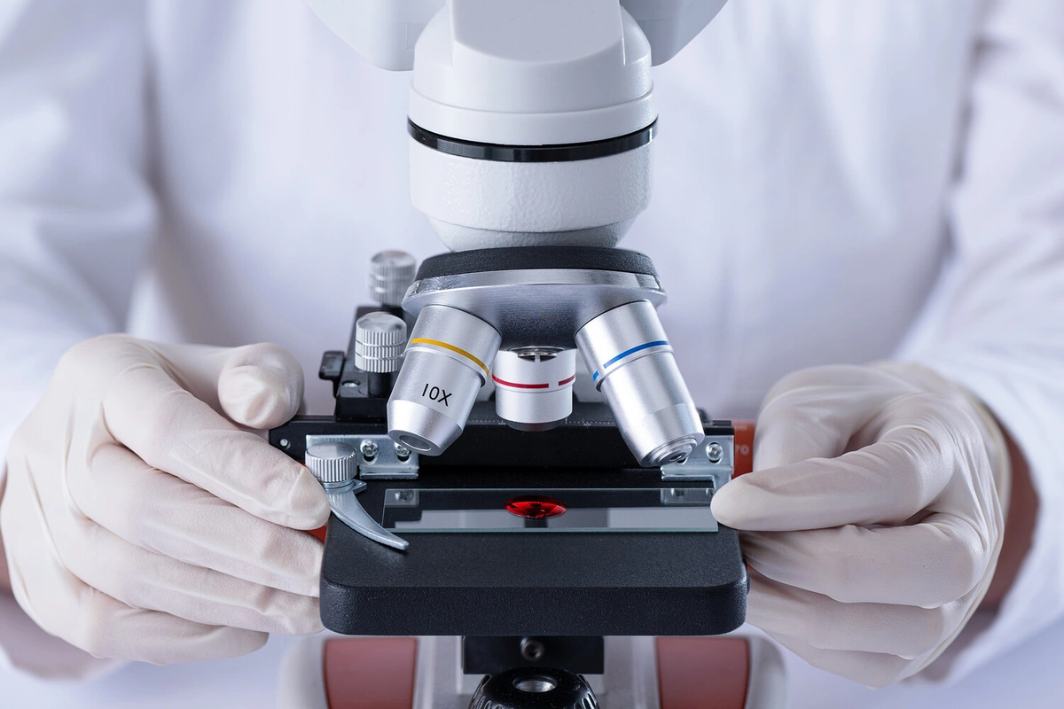 Scientists found the elixir of youth in the gut